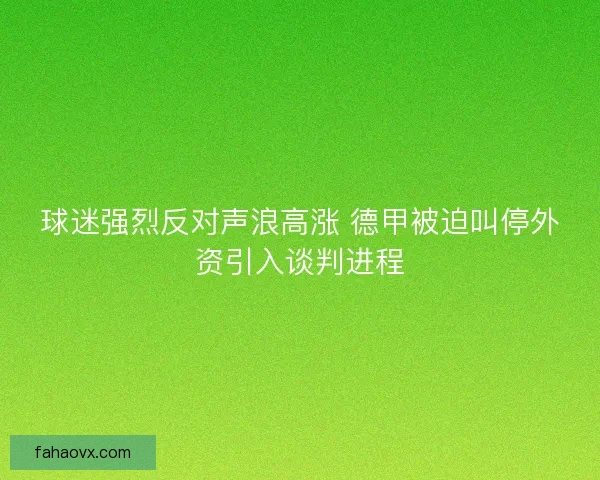 球迷强烈反对声浪高涨 德甲被迫叫停外资引入谈判进程